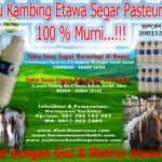 Manfaat Susu Kambing Cair Organik Di Bogor