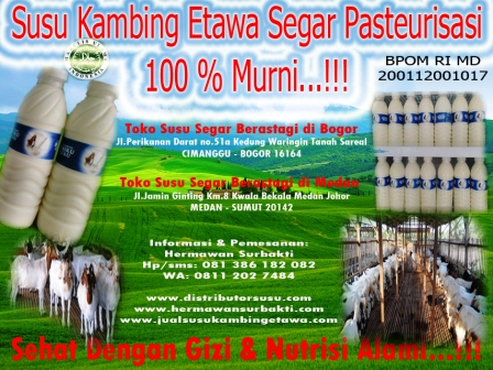 Manfaat Susu Kambing Cair Organik Di Bogor