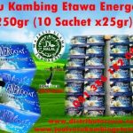 Distributor Susu Kambing Etawa Energoat
