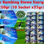 Distributor Susu Kambing Etawa Energoat